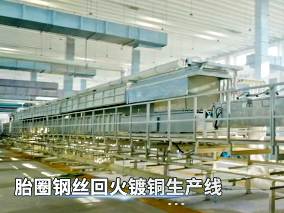 胎圈鋼絲回火鍍銅生產(chǎn)線 